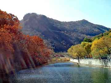 新澳天天开奖资料大全旅游团，京东假机油